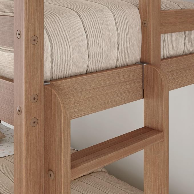 Grain & Grove Bear Twin Over Twin Bunk Bed, Sturdy Bunk Bed Frame for Kids, Plywood Bunk with Ladder, Guardrail, and Slats, No Box Spring Required, Oak Embossed Pecan