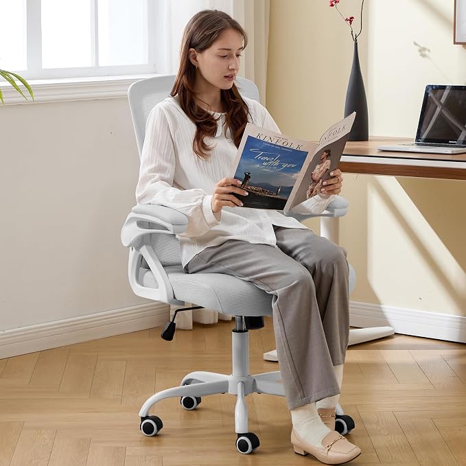 Ergonomic Office Chair, Desk Chair with Adjustable Lumbar Support, Breathable Mesh Comfy Computer Chairs with Flip-up Armrests Executive Task Chair for Adults Home Office(Gray)