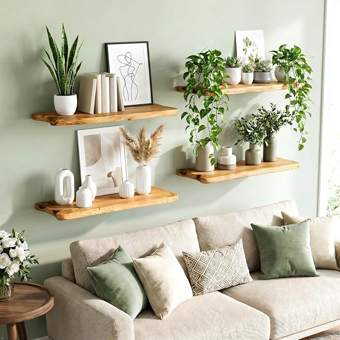 WELLAND 16" Live Edge Cedar Floating Shelves, Set of 2 | Each shelf measures approximately 15.75" W × 7.87" D × 1.25" H, ideal for displaying plants, book and decorative accents