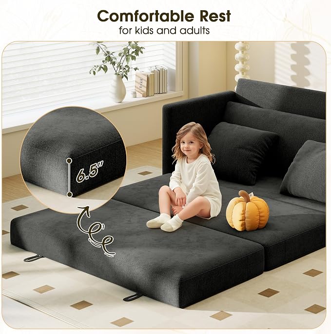Myroyalsit 65" Convertible Loveseat Sofa Bed, 2-in-1 Folding Sofa Bed with 2 Pillow for Small Spaces, Modern Loveseat Sleeper Couch for Apartment, Living Room & Guest Room (Black Chenille, 65 inch)
