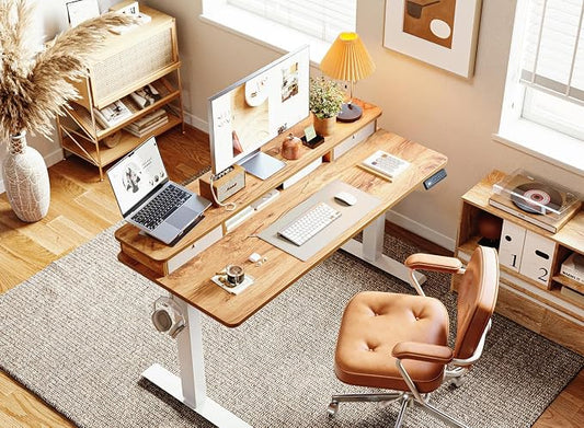 BANTI 55x24 Inch Electric Standing Desk with Dual Drawers, Height Adjustable Stand Up Table, Sit Stand Home Office Desk with Storage Shelf, White Frame/Light Rustic Brown Top