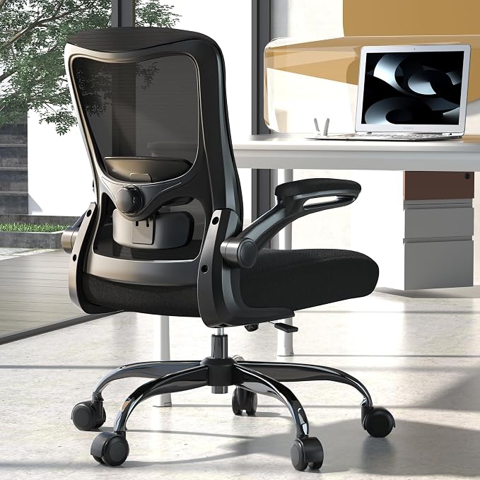 Ergonomic Office Chair for Long Hours, Padded Lumbar Support for Lower Back Relief, 330 lb Capacity, Comfortable Computer Desk Chair for Home Office, Computer & Study