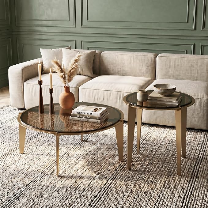Nesting Coffee Table Set of 2, Organic Round Smoked Glass Tables with 8mm Tempered Glass, Champagne Gold Steel Frame, Sculptural Modern Accent Tables for Living Room, Apartment