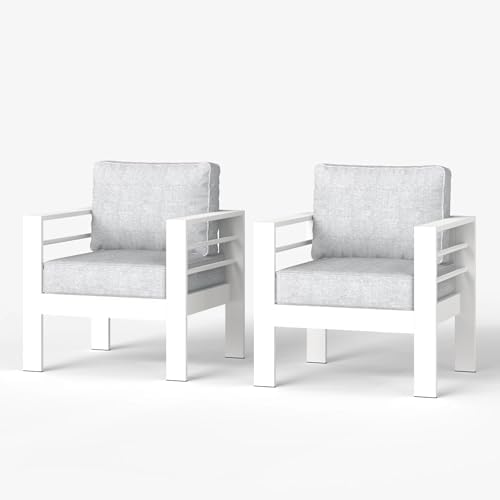 LayinSun Aluminum Patio Chair Sofa, All-Weather Metal Modern 2 Seater Outdoor Sofa with 5" Thick Cushion