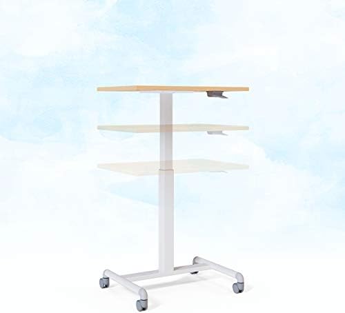 Ergohuman Eurotech Seating T1-GEO102PN-WHMP Adjustable Table, Maple