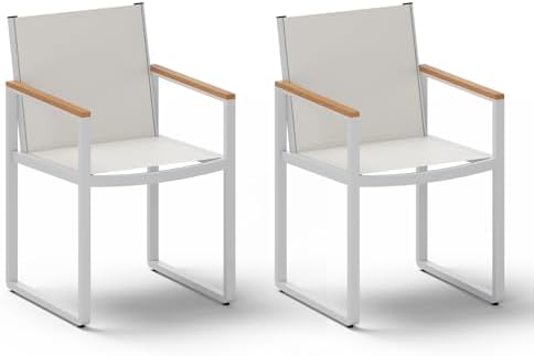 Outdoor Dining Chairs Set of 2, Aluminum Patio Dining Chairs