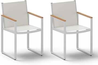 Outdoor Dining Chairs Set of 2, Aluminum Patio Dining Chairs