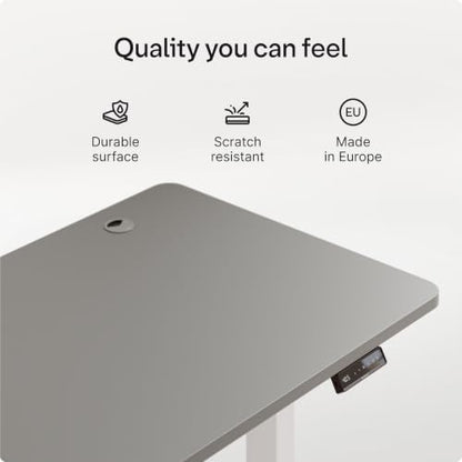 Desktronic HomePro Standing Desk 48x24 — Made in Europe, Ergonomic Sit Stand Home Office Desk, Electric Height Adjustable, Dual Motor, USB & USB-C Charging, Wobble-Free, Touchscreen, 3 Memory Presets