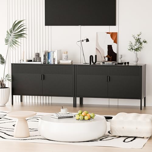 Washsemba 2 Door Storage Sideboard, Metal Storage Cabinet with 2 Adjustable Shelf,Multipurpose Metal Accent Cabinet for Office Home,Music Studio (Black, 25''H)