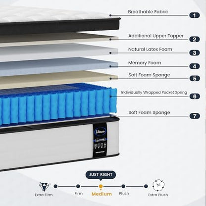 LETMOON 14inch Queen Mattress Hybrid Spring, Medium