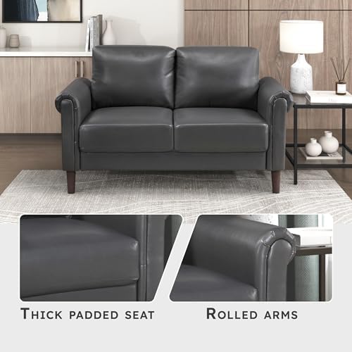 Lexicon Faux Leather Loveseat, 2 Seater Couch, Dark Gray