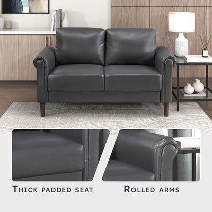 Lexicon Faux Leather Loveseat, 2 Seater Couch, Dark Gray