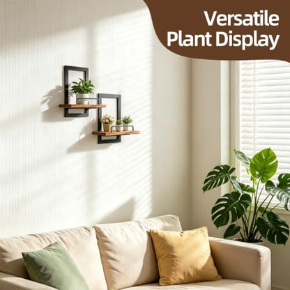 Floating Plant Shelves 2Pack, Metal&Wood Wall Mounted Shelf with Guardrail