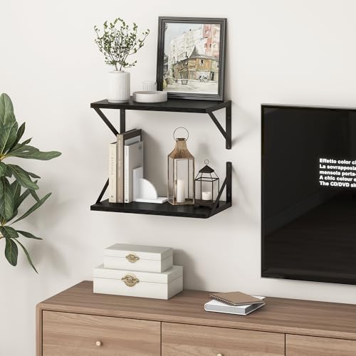 10 Inch Deep Floating Shelves, Black Floating Shelf 16 Inch Long, 16" W x 10" D Wall Shelves Set of 2, Deep Shelves for Books, Wide Floating Shelves for Bahtoom, Living Room, Kitchen