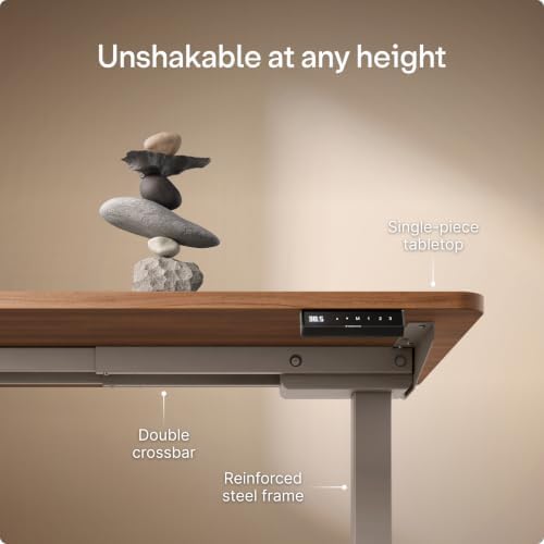 Desktronic HomeOne Standing Desk 60x30 — Ergonomic Sit Stand Home Office Desk, Made in Europe, Electric Dual Motor Height Adjustable, USB & USB-C Charging, Wobble-Free, Touchscreen, 3 Memory Presets