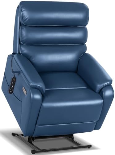 EONIX Dual Motor Power Lift Recliner Chair for Elderly with Heat & Massage