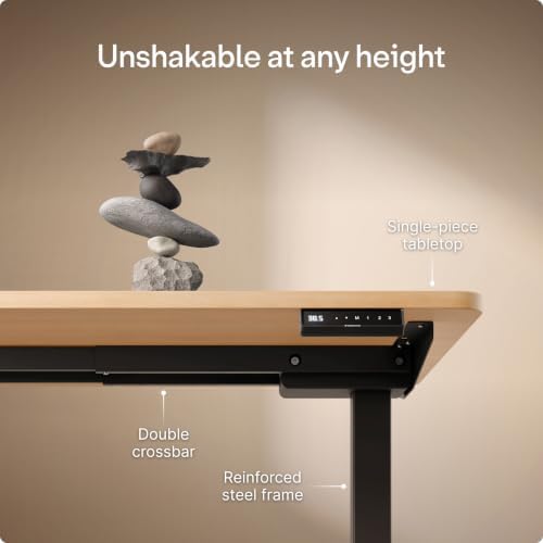 Desktronic HomeOne Standing Desk 54x28 — Ergonomic Sit Stand Home Office Desk, Made in Europe, Electric Dual Motor Height Adjustable, USB & USB-C Charging, Wobble-Free, Touchscreen, 3 Memory Presets