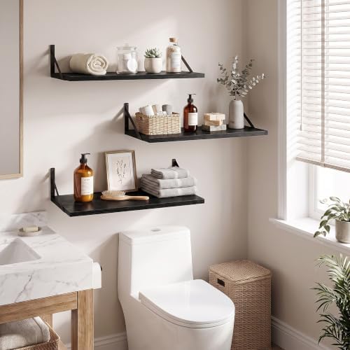 Dreamland Wall Mounted Floating Shelves Set of 3, 24x12, Black