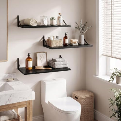 Dreamland Wall Mounted Floating Shelves Set of 3, 24x12, Black