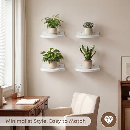 Round Small Floating Shelf,Small Wall Shelves,Mini Speaker Shelf Wood