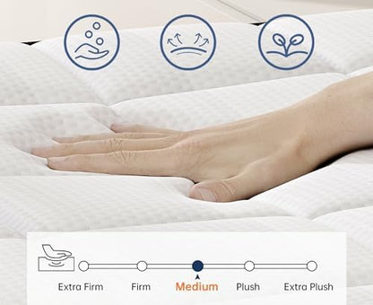 LETMOON 10 Inch Twin Hybrid Mattress, Pocket Spring Medium in Box