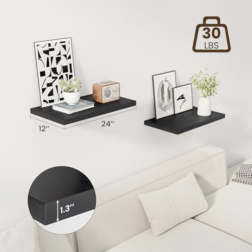 Dreamland 24" Floating Shelves for Wall, 12" Deep Slim Black Floating Shelves, Wall-Mounted Shelves for Bedroom, Living Room, Kitchen, Bathroom - Set of 2