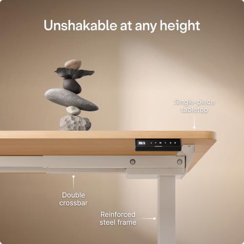 Desktronic HomeOne Standing Desk 48x24 — Ergonomic Sit Stand Home Office Desk, Made in Europe, Electric Dual Motor Height Adjustable, USB & USB-C Charging, Wobble-Free, Touchscreen, 3 Memory Presets