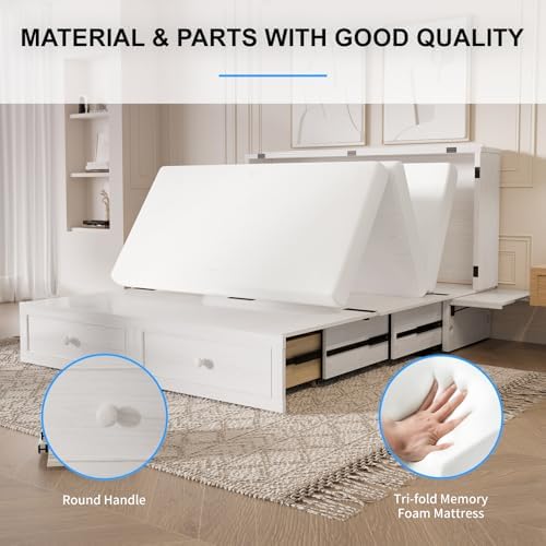 PUREMIND 2-in-1 Multi-Functional Queen Murphy Cabinet Bed with Mattress