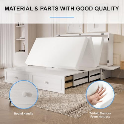 PUREMIND 2-in-1 Multi-Functional Queen Murphy Cabinet Bed with Mattress