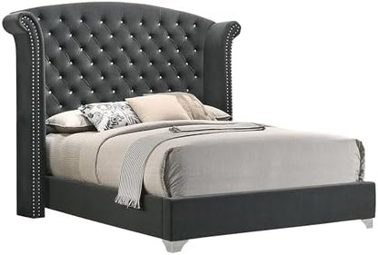 Coaster Melody Queen Velvet Wingback Bed with Nailhead Trim, Grey 223381Q