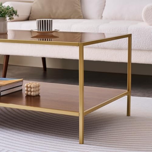 Glass Coffee Table for Living Room, L39xW22xH17inch, 2-Tier Mid-Century Modern Table with Amber Tempered Glass Top and Walnut Finish Wood Top, Gold Finish Frame