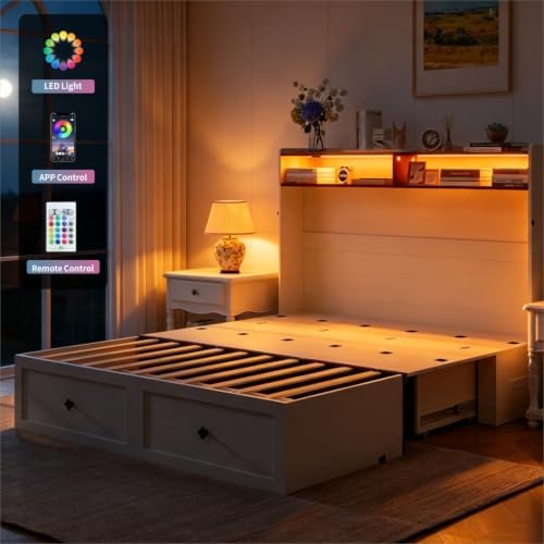 Vipbear Queen Murphy Bed Cabinet with LED Lights & Charging Station