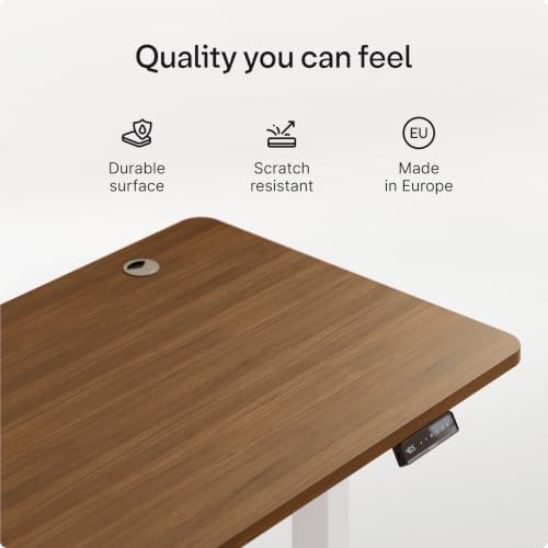 Desktronic HomePro Standing Desk 48x24 — Made in Europe, Ergonomic Sit Stand Home Office Desk, Electric Height Adjustable, Dual Motor, USB & USB-C Charging, Wobble-Free, Touchscreen, 3 Memory Presets