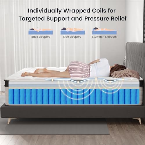 LETMOON 14inch Queen Mattress Hybrid Spring, Medium