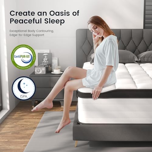 LETMOON 14inch Queen Mattress Hybrid Spring, Medium