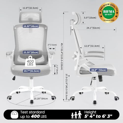 Fizzin Office Chair Mesh Computer Chairs with Adjustable Lumbar Support