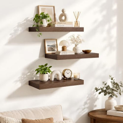 Dreamland 18 Inches Wall Mounted Wood Floating Shelves, Walnut, 3 Pack