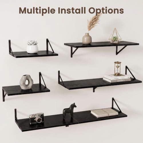 Dreamland Wall Mounted Floating Shelves Set of 2, 30x12, Black