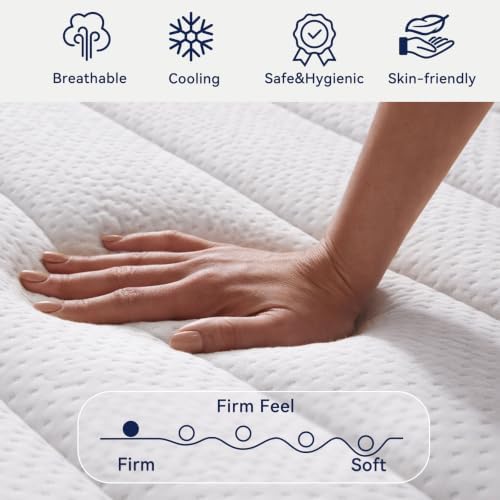 Upgraded Luxury 16 Inch Queen Size Hybrid Mattress in a Box, Firm Feel