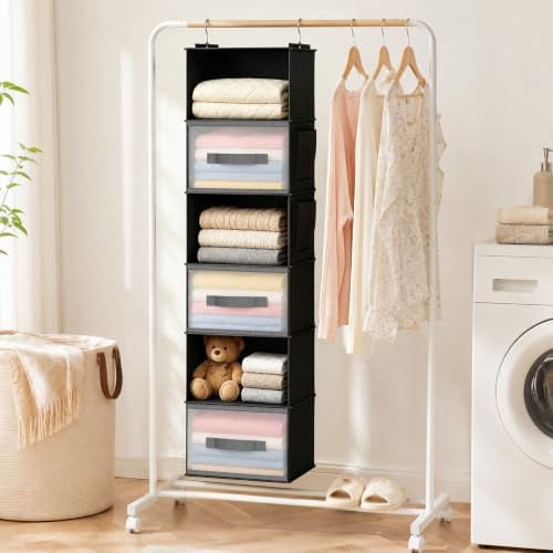 Hanging Closet Organizer, Black