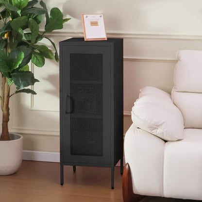 ALBAD Slim Metal Storage Cabinet with Mesh Door