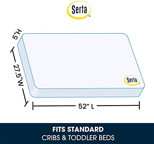 Delta Children Emery 4-in-1 Convertible Crib, Grey + Serta Perfect Slumber Dual Sided Recycled Fiber Core Crib and Toddler Mattress (Bundle)
