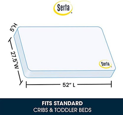 Delta Children Emery 4-in-1 Convertible Crib, Grey + Serta Perfect Slumber Dual Sided Recycled Fiber Core Crib and Toddler Mattress (Bundle)