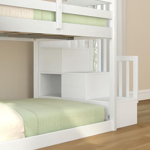 Grain & Grove Bear Twin Over Twin Low Bunk Bed with Slide, with Staircase, Brushed White