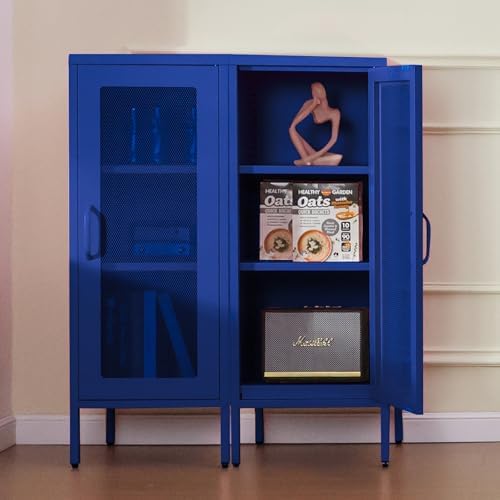 ALBAD Slim Metal Storage Cabinet with Mesh Door