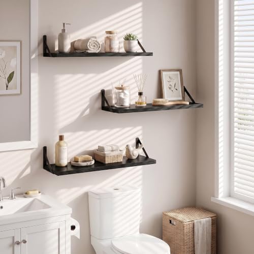 Dreamland Wall Mounted Floating Shelves Set of 3, 24x8, Black