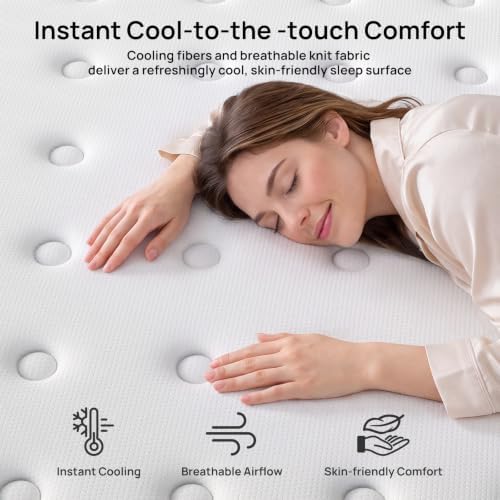 Plush Twin Mattress for Pain and Pressure Relief, 12 inch Hybrid Mattress with Extra Back and Lumbar Support, Fiberglass Free, 365 Nights Trial