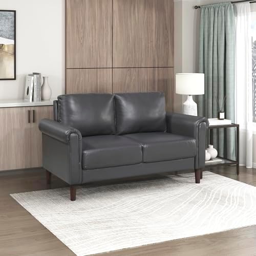 Lexicon Faux Leather Loveseat, 2 Seater Couch, Dark Gray