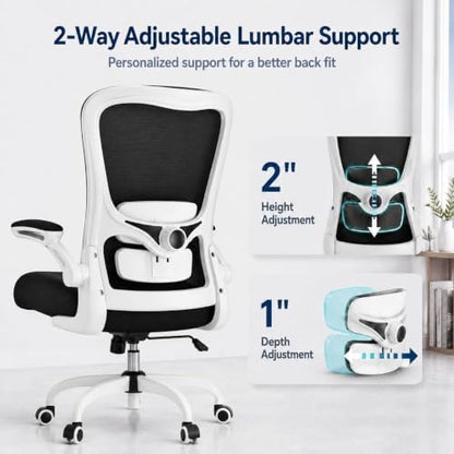 Ergonomic Office Chair for Lower Back Relief, 4-Way Lumbar, 330 LBS