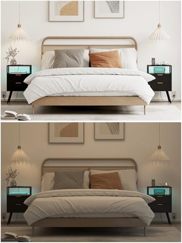 Leomonio Nightstand with Charging Station and LED Lights, Modern Bedside Table with 2 Storage Drawer and Open Wood Shelf for Bedroom and Small Spaces, Night Stand with Solid Wood Legs